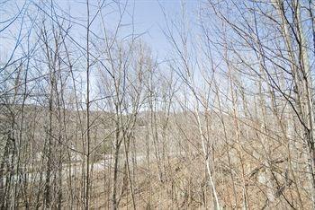 Erabliere By Rendez-vous Tremblant Apartment Mont-Tremblant