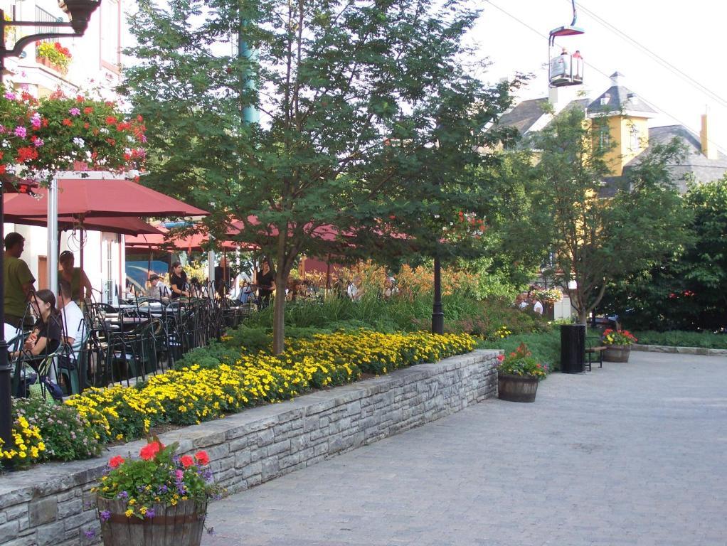 Apartment Mont-tremblant Getaway