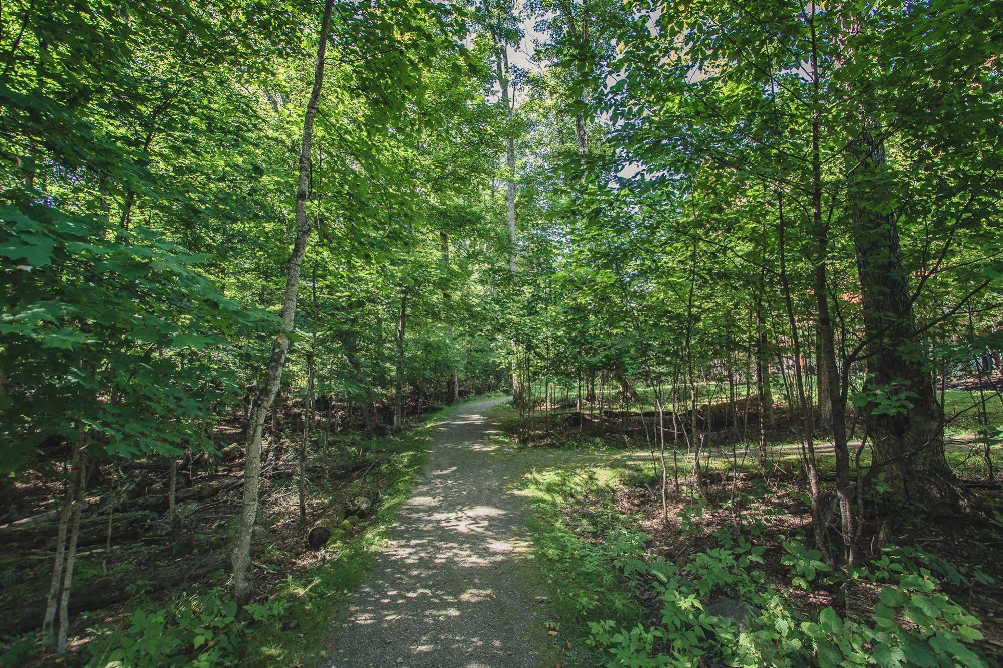 Etoile Du Matin By Rendez-vous Mont-Tremblant
