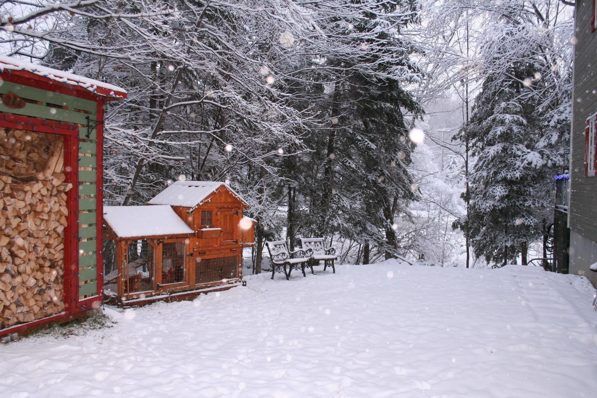 Bed & Breakfast La Chaumiere De L'anse