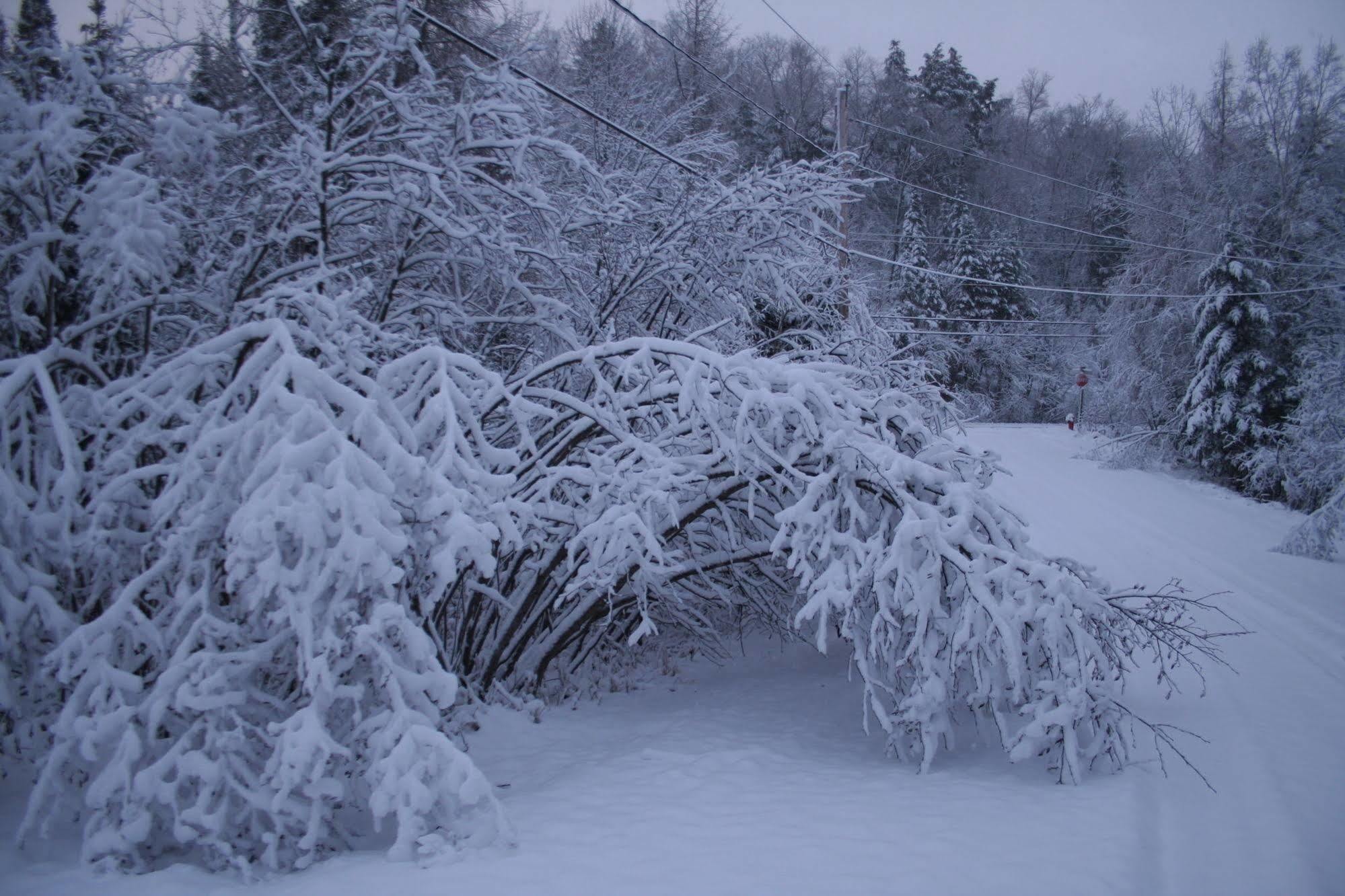 La Chaumiere De L'anse Bed & Breakfast