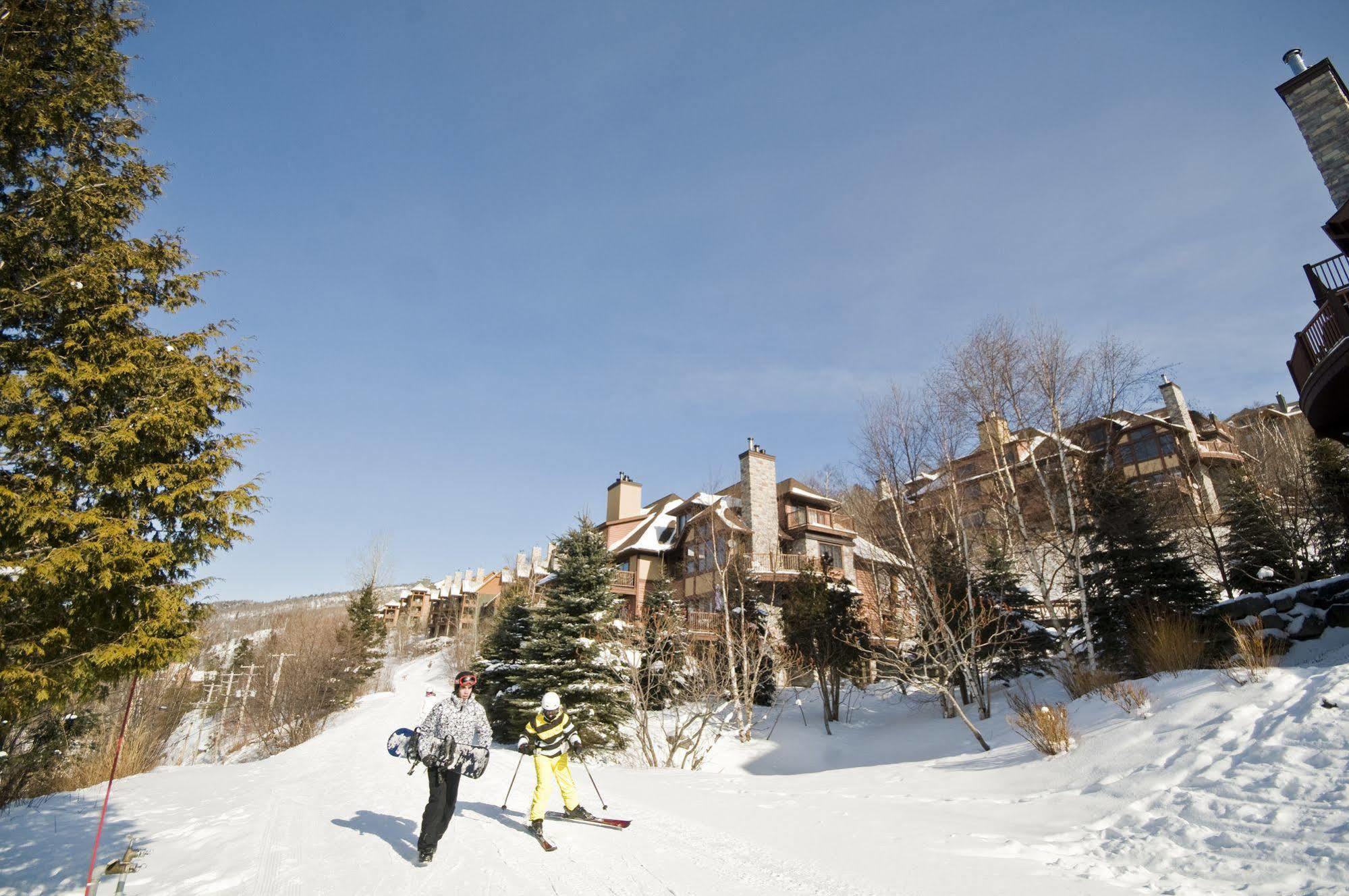Algonquin - Rvmt 4*