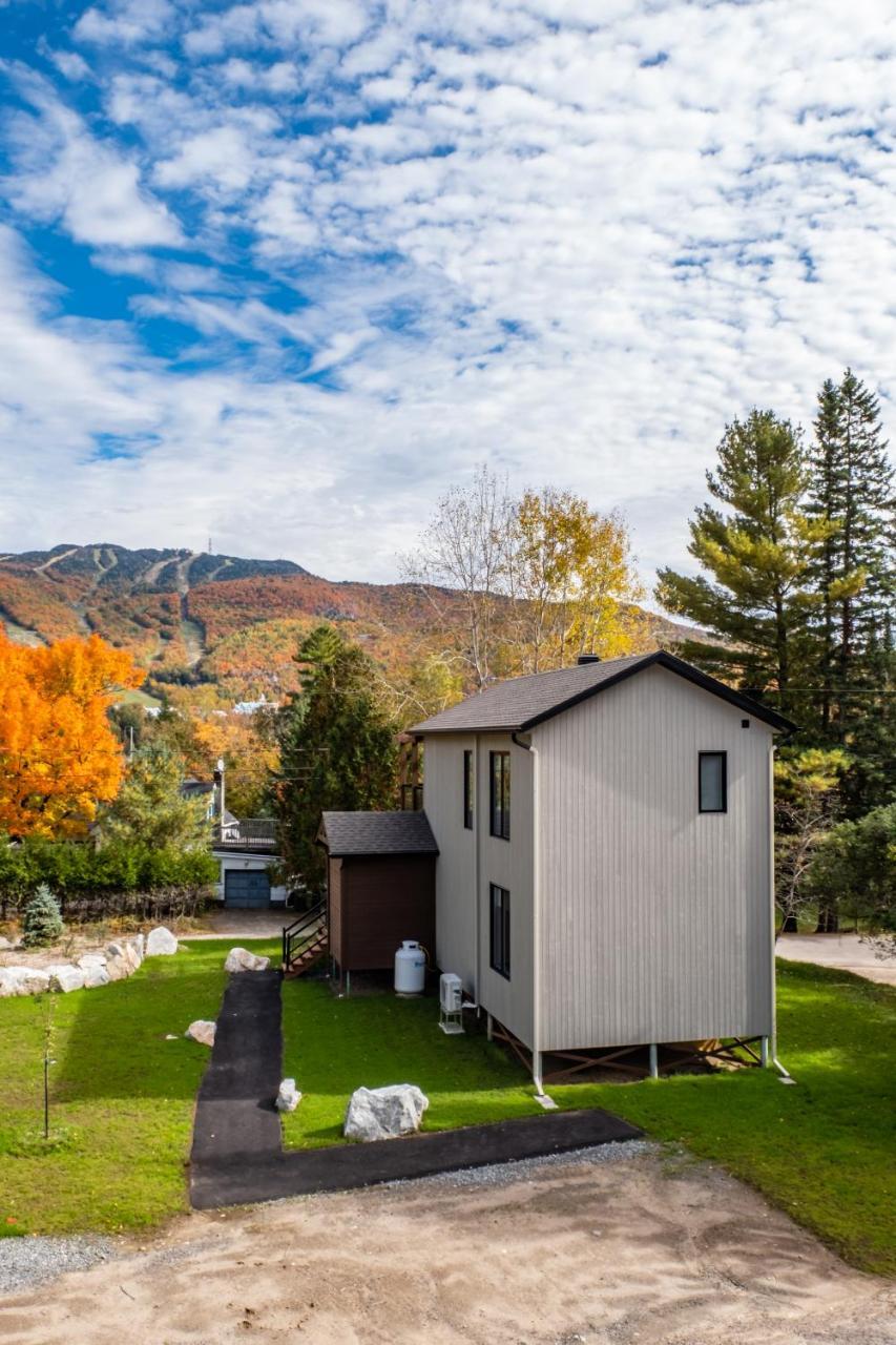 Chalet Les Chalets Sauvignon *