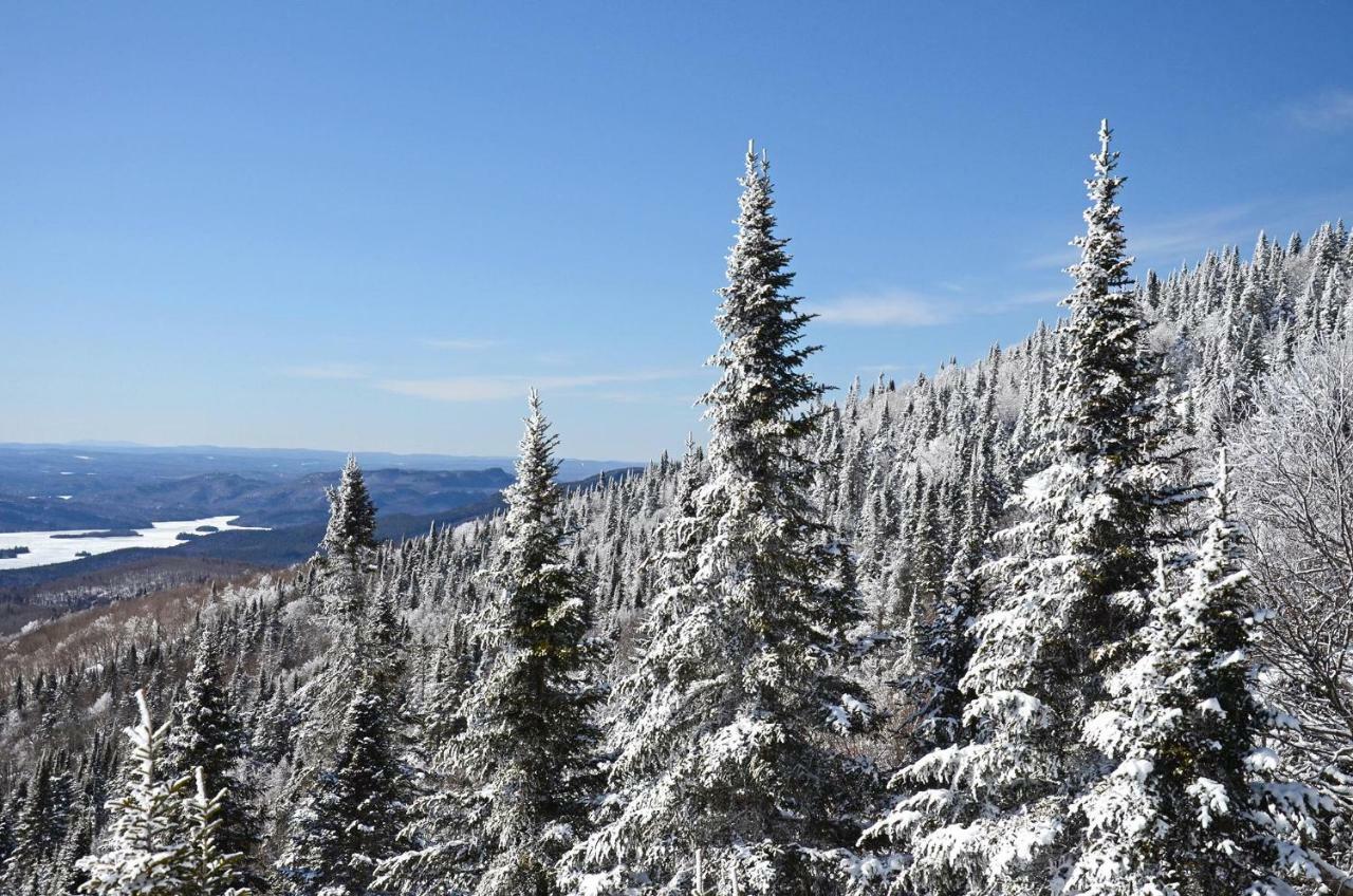 Apartment Le Loft Alpin By Escapades Tremblant Mont-Tremblant
