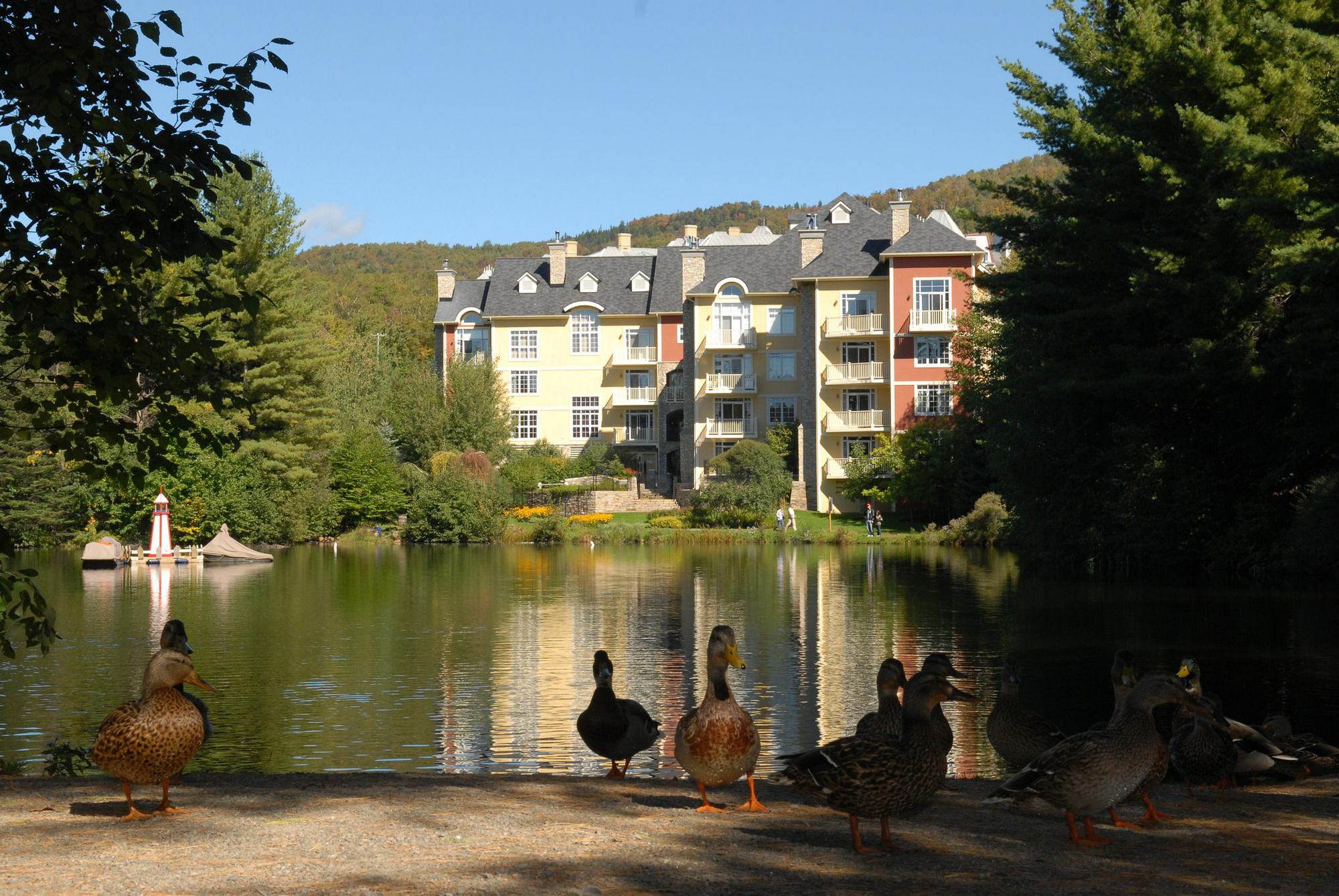 Ermitage Du Hotel 3*
