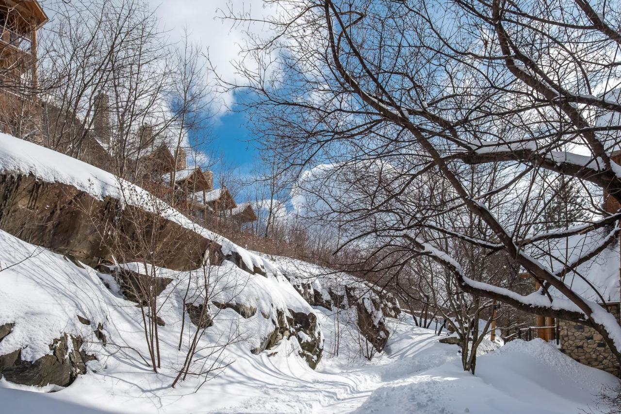 Equinoxe By Tremblant Platinum *