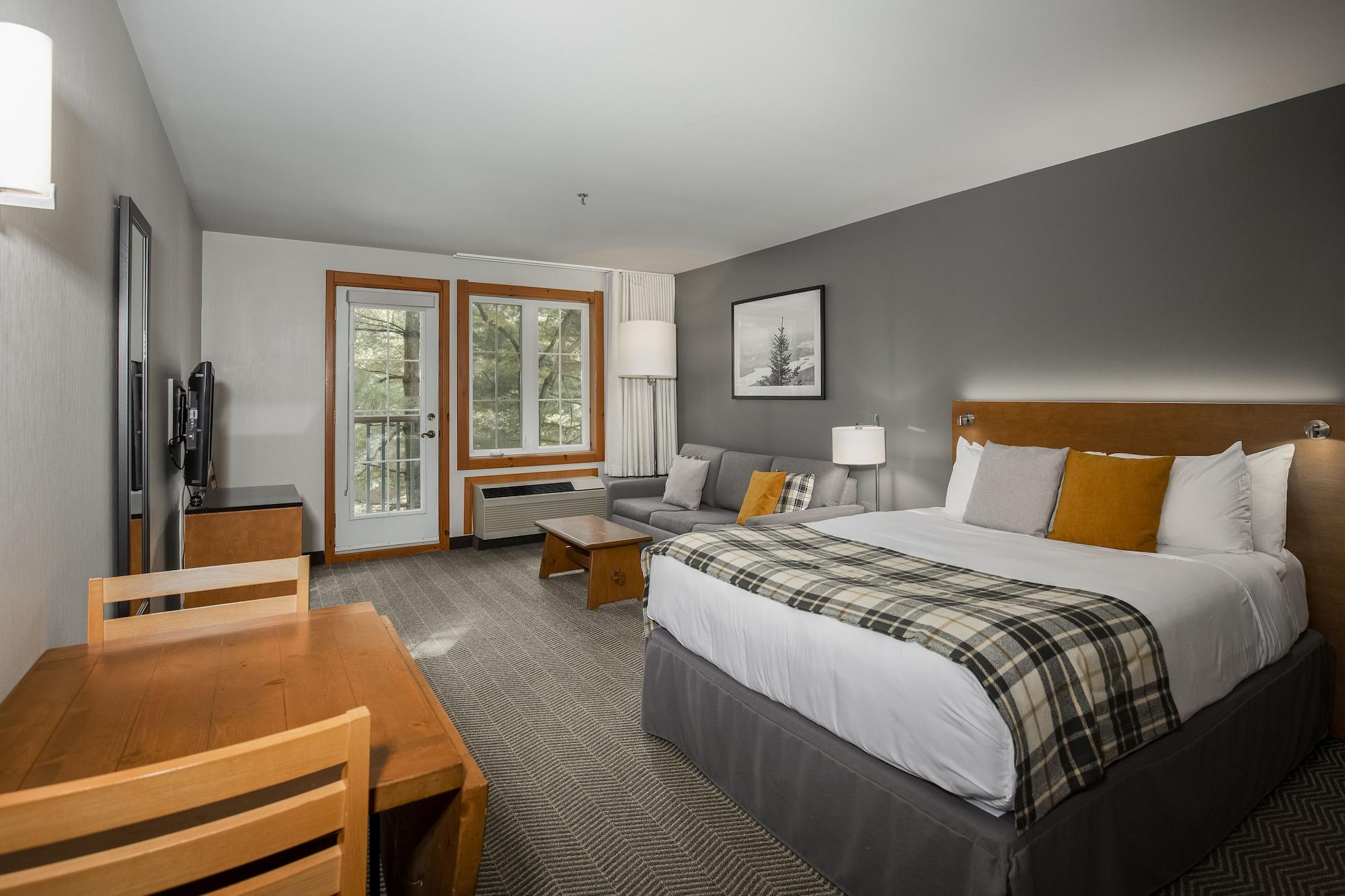 Hotel De La Montagne 3*