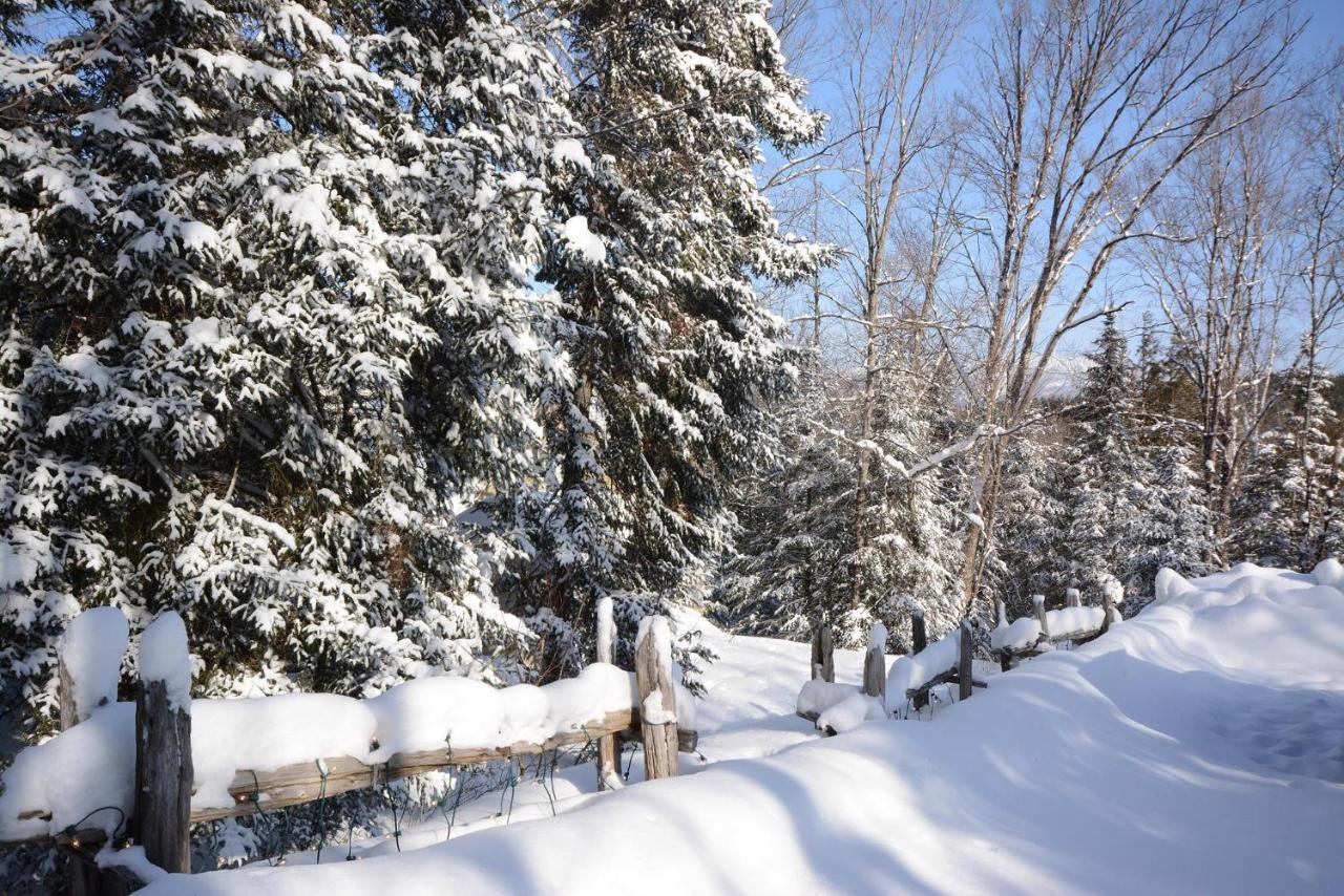 Apartment Jardin Du Village By Chez Tremblant Mont-Tremblant