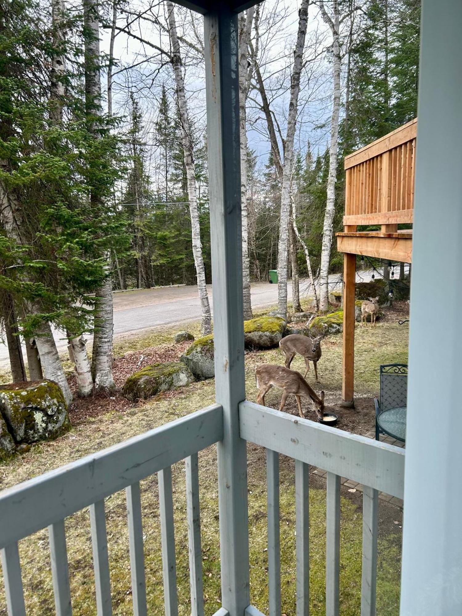 Le Retro Shack A Apartment Mont-Tremblant