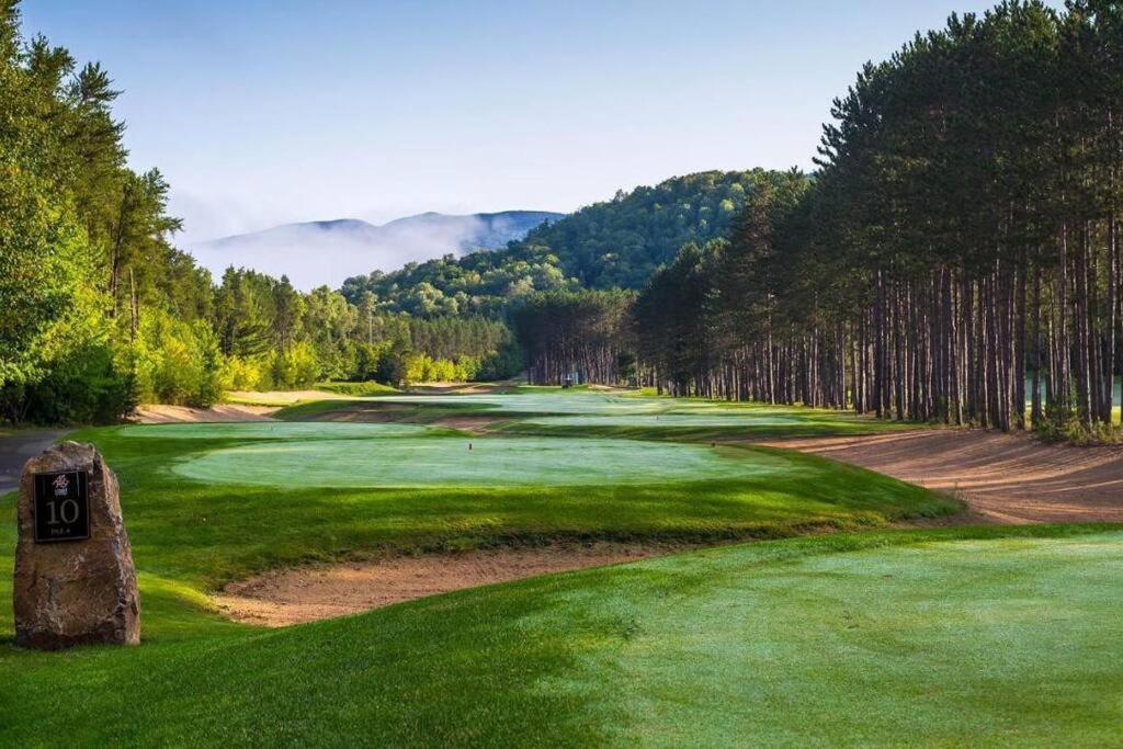 Apartment Walking Distance Tremblant - Kids Park - Golf Mont-Tremblant