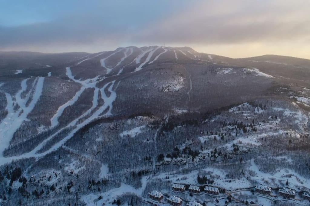 Holiday home L'erabliere Tremblant Inout W 2bdrs *