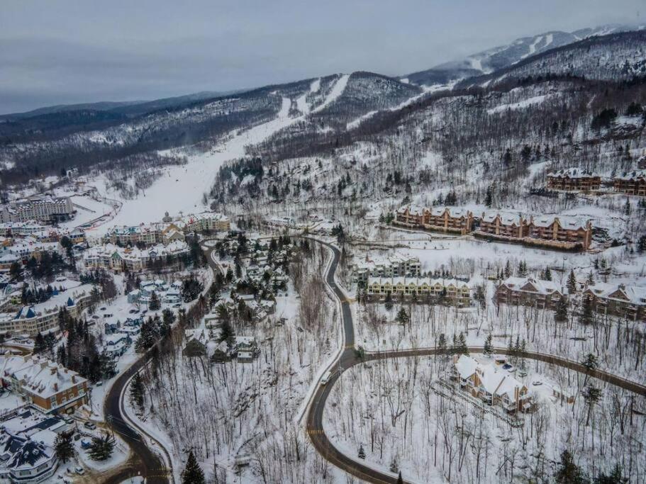 L'erabliere Tremblant Inout W 2bdrs Holiday home *
