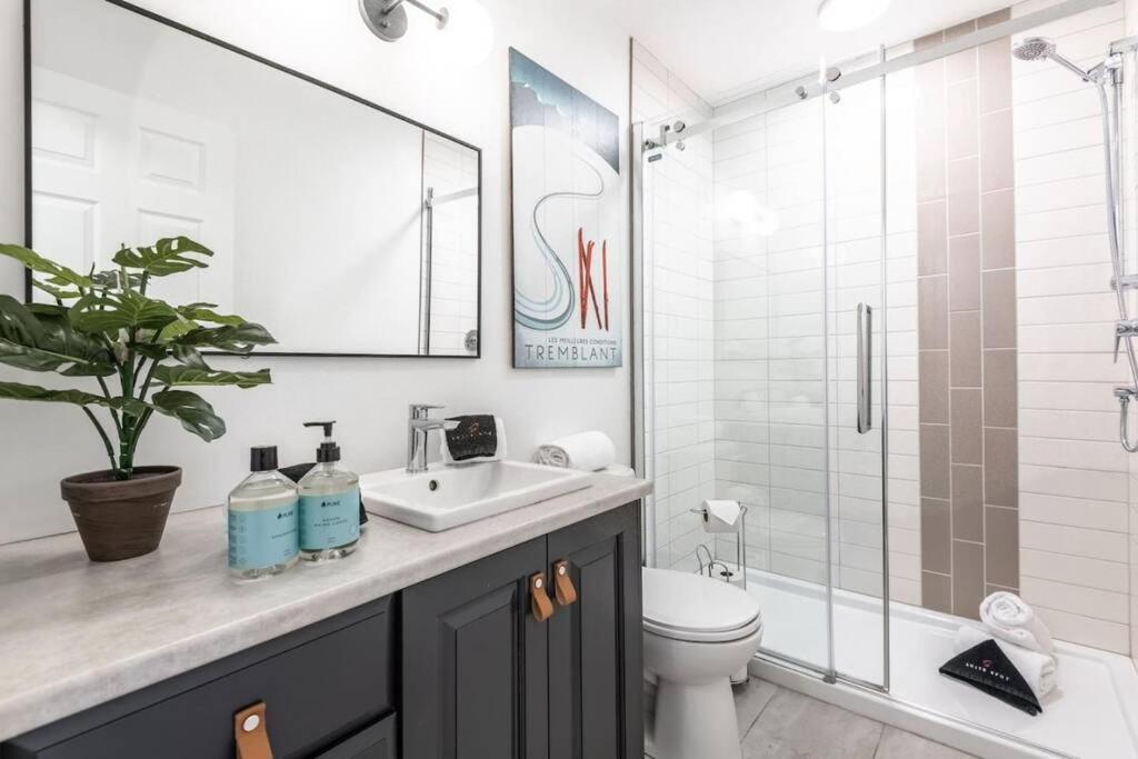 Holiday home L'erabliere Tremblant Inout W 2bdrs *