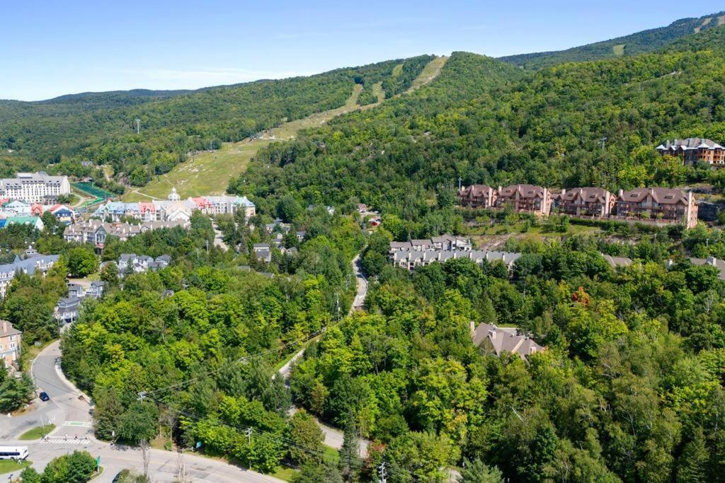 L'erabliere Tremblant Inout W 2bdrs
