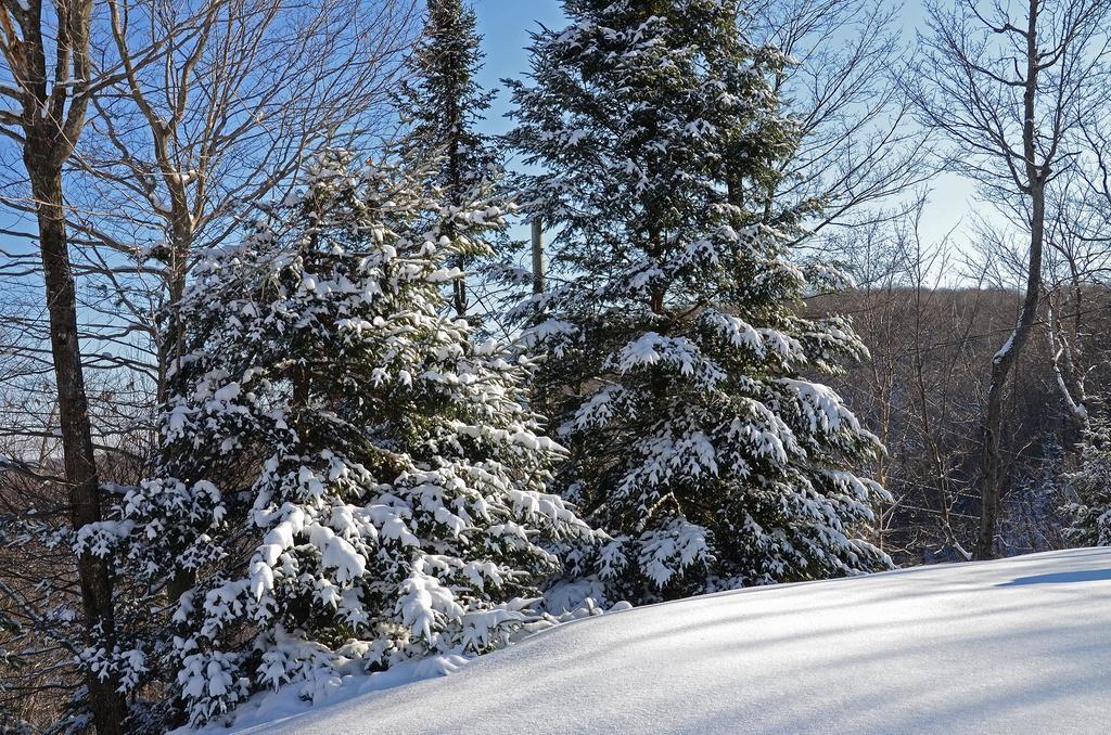 Jardin Du Village By Chez Tremblant