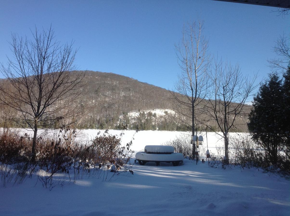 Chalets Laurentides Mont-tremblant Mont-Tremblant