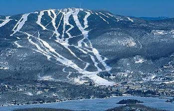 Sauvignon Mont-Tremblant