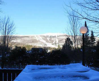 Sauvignon Inn Mont-Tremblant