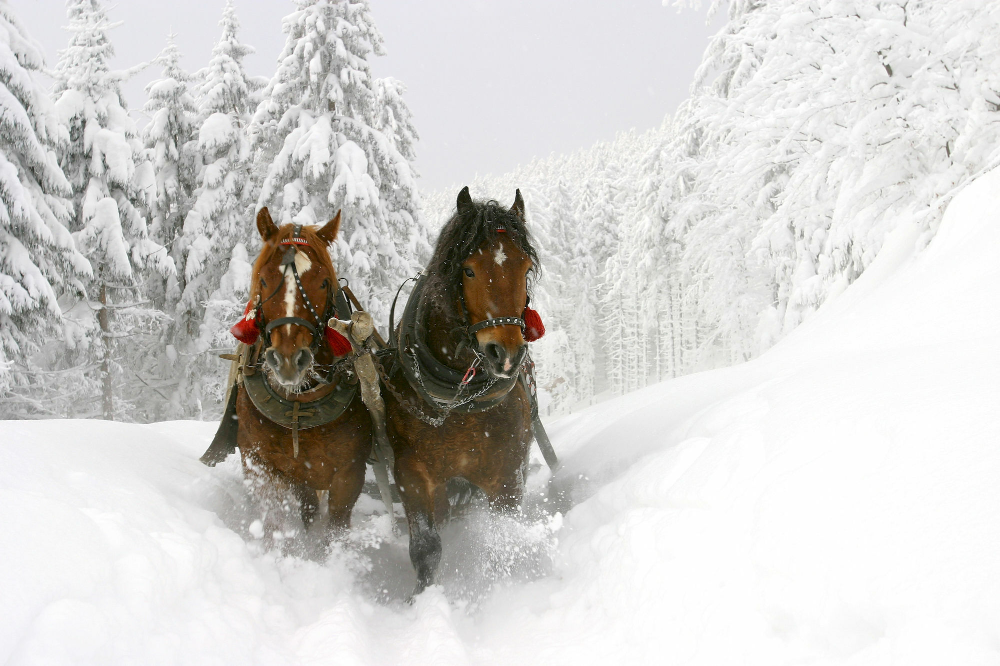 Hotel Le Grand Tremblant 3*